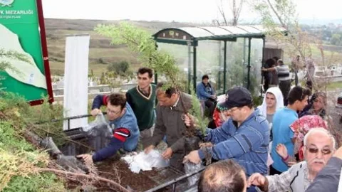Samsun Orman İşletme Bin Fidan Dağıttı