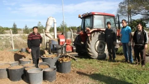 Dökülen Yapraklar Enerjiye Dönüşüyor