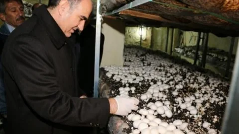 Sarıidris Ekonomide Model Oluşturdu