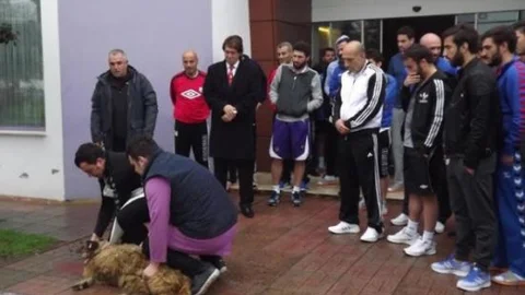 Orduspor Kurban Kesti