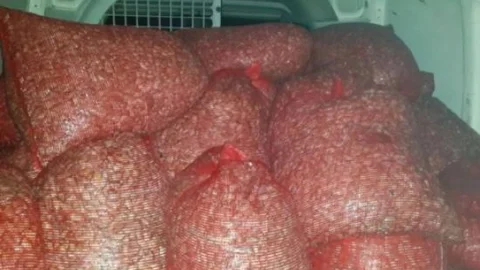 Edirne'de 1,5 Ton Midye Ele Geçirildi