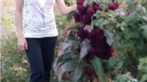 Meslek Eğitim Merkezi Ücretsiz Kurs Vermeye Devam Ediyor