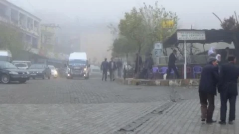 Kulp'ta Yoğun Sis Hayatı Olumsuz Etkiledi