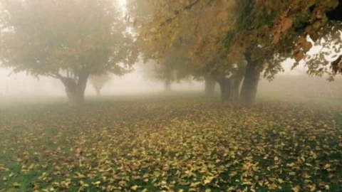 'sis' Tut İlçesinde Kartpostallık Görüntü Ortaya Çıkardı