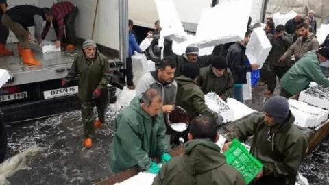 Balıkçılık Zor Zanaat Ama Onlar İçin Bir ''sevda''