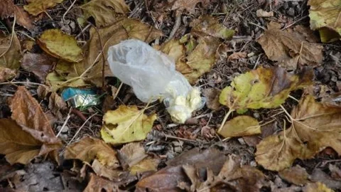 Mezarlığa Yakışmayan Görüntüler