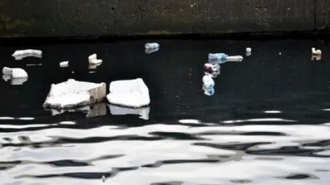 Bandırma Limanında Çöpler Yüzüyor