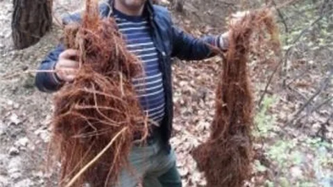 Su Gözleri Temizlendi