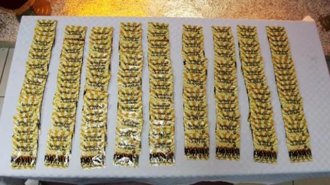 Baba-oğul 160 Paket Bonzai İle Yakalandı