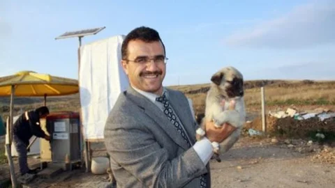 Çubuk Belediyesinden 'sokak Hayvanlarını Unutmayın' Çağrısı