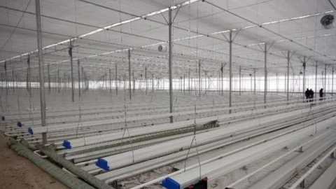 Türkiye'nin En Büyük Ve En Modern Serası Diyadin'de Kuruluyor