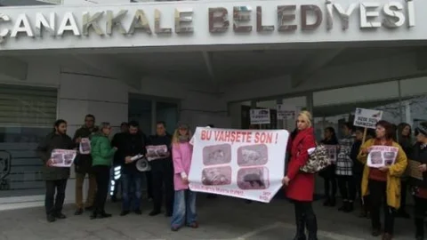 Zehirli Yiyecekler Hayvan Severleri İsyan Ettirdi