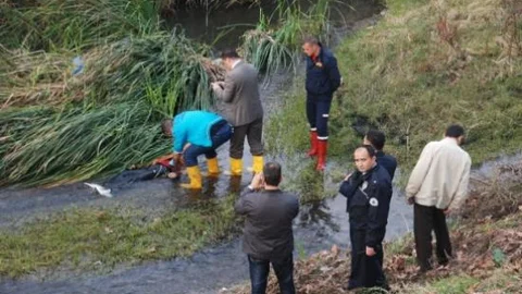 Edremit'te Kimliği Belirsiz Ceset Bulundu