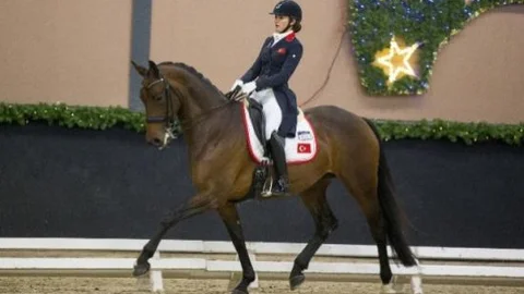 At Terbiyesinde Türkiye'nin Üzerine Yok