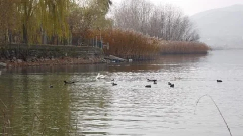 Gölbaşı Tabiat Parkı Sonbaharı Yaşıyor