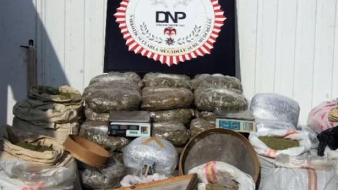 Diyarbakır'da 523 Kilogram Esrar Maddesi Ele Geçirildi