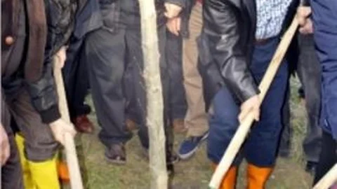 Yalova'da Kesilen 180 Ağaç İçin 200 Çınar Ağacı Dikildi