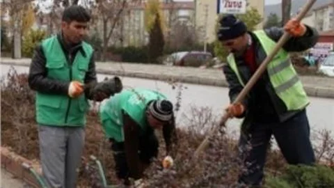Elazığ Kış Bitkileri İle Güzelleşecek
