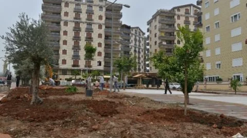 Doyran'a Fitness Siteler'e Portakal Ve Zeytin Ağaçları