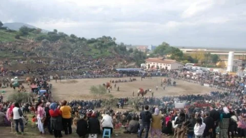 Koçarlı'da 30 Yıl Sonra Deve Güreşi Yeniden Yapıldı