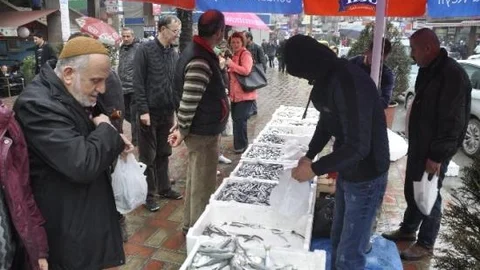 Hamsinin Kilosu 2,5 Liraya Düştü