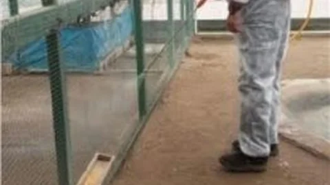 Kedi Bakım Evi Dezenfekte Edildi