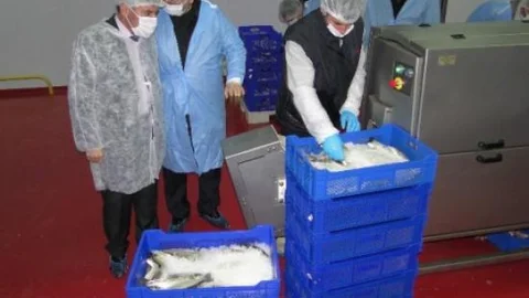 Kırsal Kalkınma Yatırımından Yararlandı Ekonomiye Katkıda Bulunuyor