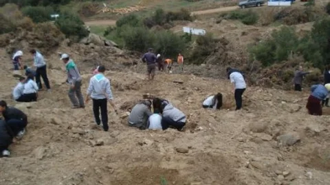 Yenipazar'da 10 Bin Kan Bağışına 10 Bin Fidan