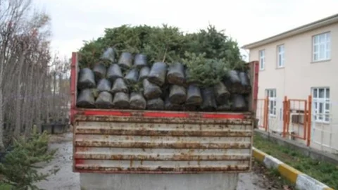 Erzincan'da Kişi Başına 25 Metrekarelik Yeşil Alan Düşüyor