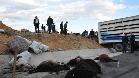 Bingöl'de Trafik Kazası: 3 Yaralı