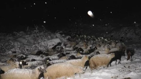 Artvin'de Yoğun Kar Yağışı