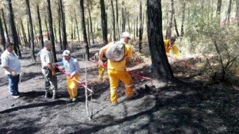 Isparta Bölgesinde Orman Yangınlarında Azalma