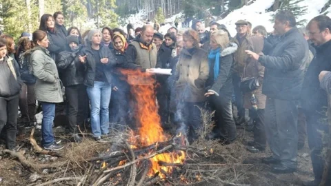 Artvin Cerattepe'de Maden Sahasında Ağaç Kesimine Tepki Eyleme Dönüştü