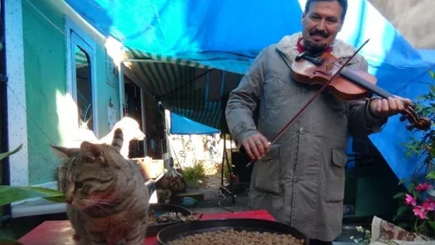 (Özel Haber) Emekli Akademisyen Sokak Hayvanlarına Babalık Yapıyor