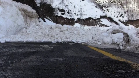 Suya DÜşen Karacayı Kurtarmaya Giderken Az Kalsın Çığ Altında Kalıyorlardı