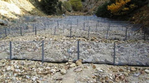 Darıderesi'ne 51 Bin Adet Gelir Getirici Fidan Dikildi