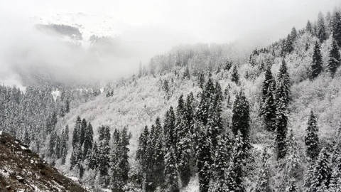 Zigana Dağı Beyaza Büründü