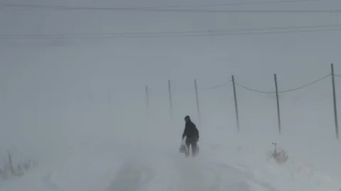 Tipi Nedeniyle Ardahan'da Ulaşım Durdu