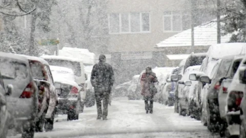 Yalova Kara Teslim Oldu