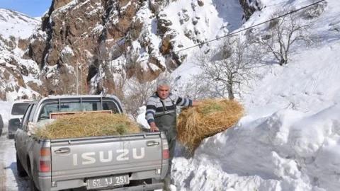 Zorda Kalan Yaban Hayvanları İçin Doğaya Yem Bırakıldı