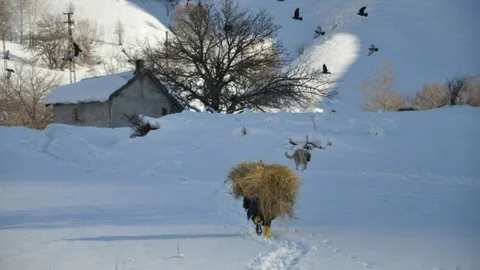 Karın Kahrını Çeken De Var Selfie Çeken De