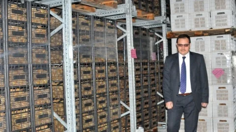 Yalova 20 Bin Ton Kivi Rekoltesi Hedefliyor