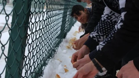 Gençlerden Sokak Hayvanları Ve Kuşlar İçin Duyarlı Davranış