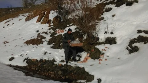Kırıkkale'de Yabani Hayvanlar İçin Doğaya Yem Bırakıldı