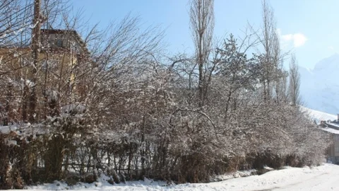 Hakkari'de Soğuk Hava Ve Don