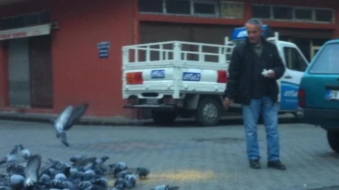 Aç Kalan Güvercinleri Esnaf Besliyor