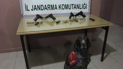 Silah Kaçakcılarını Jandarma Köpeği Yakalattı