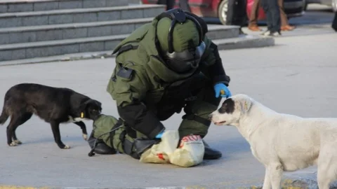 Şüpheli Paket Önüne DÜşünce