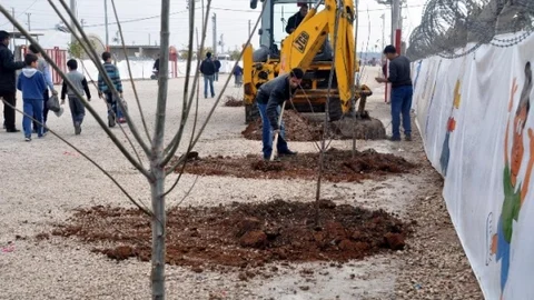 Çadır Kent Yeşillendiriliyor