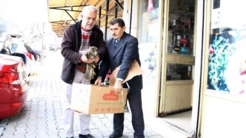 Yaralı Şahine Sahip Çıkıldı